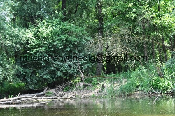 http://muenchenvenedig.com/media/vater-sohn-abenteuer/Eine wunderschoene Kanutour auf dem bayerischen Amazonas/DSC_0703_600x399.JPG
